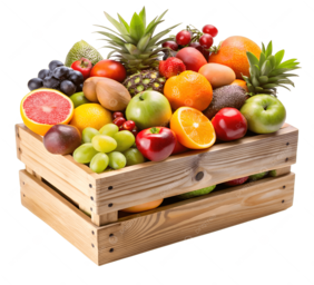 فيديو الشركة